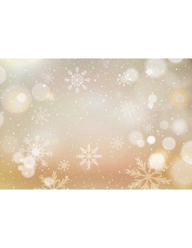 Flocon de neige Bokeh hiver Photo Booth toile de fond M102 Economisez 