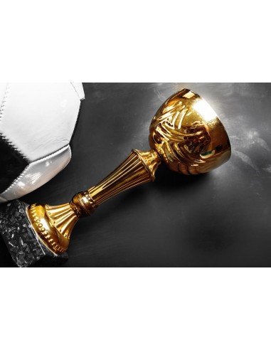 Football Champion Trophy Sports Photographie Toile de fond M094 la livraison gratuite