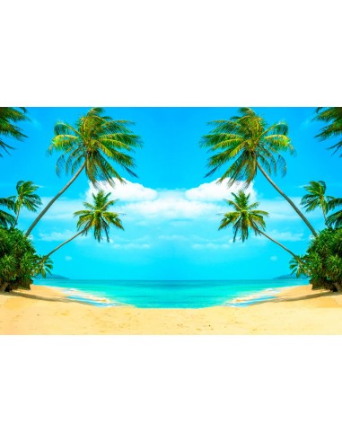 Toile de fond Été plage mer noix de coco arbre photo booth  GA-77 acheter en ligne