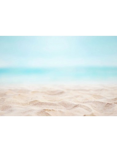 Toile de fond de cabine de photo de plage de sable de mer d'été GA-47 En savoir plus