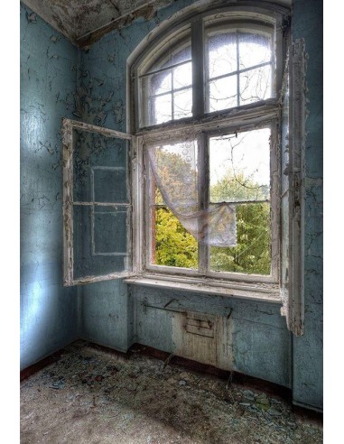 Toile de Fond Abandonnée Pièce Intérieur Fenêtre Photo GA-9 Jusqu'à 80% De Réduction