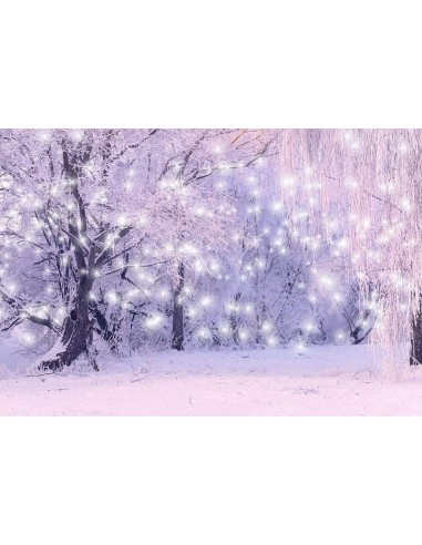 Arbres d'hiver de flocons de neige de Noël avec givre Photo Studio toile de fond GC-112 Venez acheter