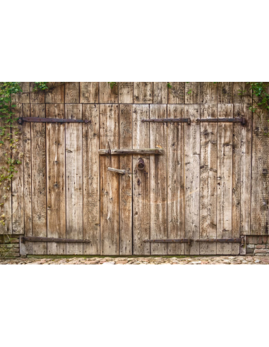 Toile de fond de porte de grange en bois vieilli pour photo GC-93 la colonne vertébrale