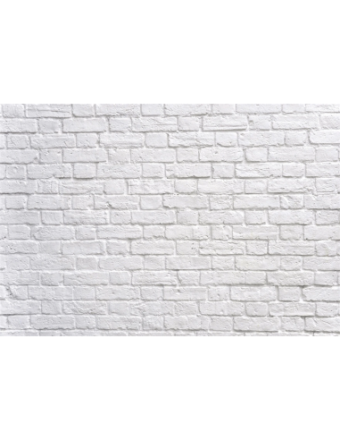 Toile de fond de studio de photographie de mur de briques blanches GC-56 online