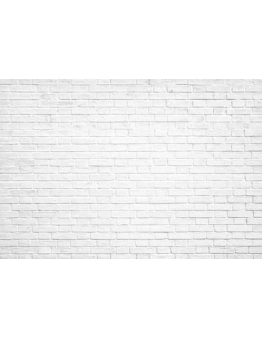 Toile de fond de mur de brique de style rétro blanc pour la photographie de fête GC-45 en stock