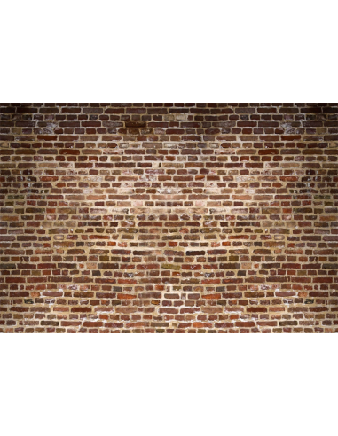 Toile de fond de photographie de mur de brique vintage pour Studio GC-33 des créatures d'habitude