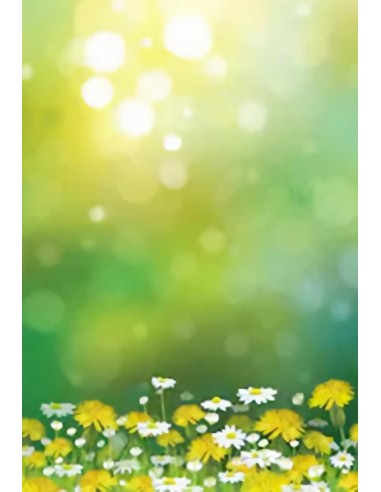 Toile de fond de printemps Bokeh vert pour photomaton SH206 solde