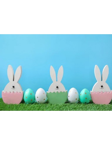 Toile de fond Oeufs de lapin de Pâques vert herbe Photo Studio SH123 de votre