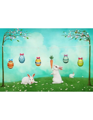 Toile de fond vert Oeufs de Pâques lapin pour la photographie SH108 store