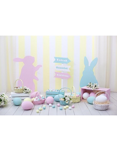 Oeufs de Pâques lapin Joyeuses Pâques photographie toile de fond D560 commande en ligne