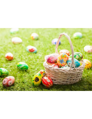 Toile de fond d'herbe verteOeufs de Pâques colorés pour la photographie de jour de Pâques SH022 basket pas cher