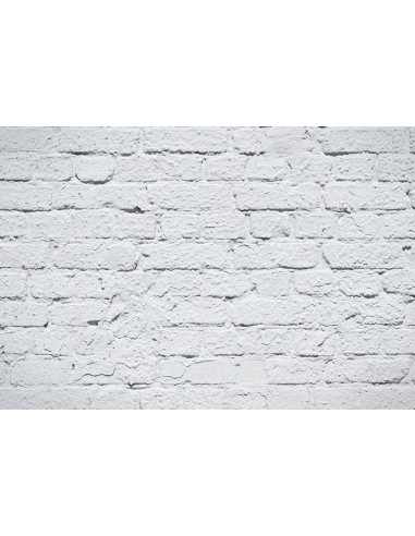 Toile de fond de mur de brique de peinture blanche pour photomaton M269 livraison et retour toujours gratuits